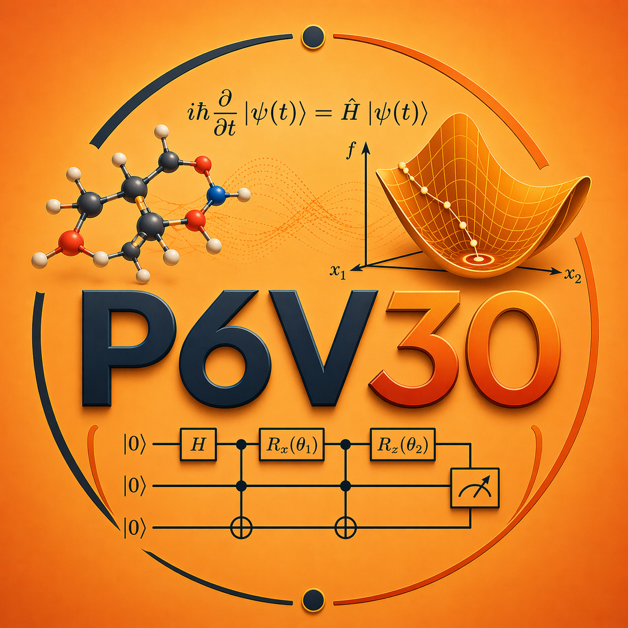 P6V30 Logo